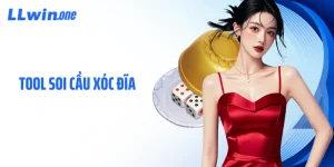 Tool Soi Cầu Xóc Đĩa - Top 4 Công Cụ Dự Đoán Chính Xác